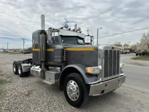 2009 PETE MODEL 388 DAY CAB TRUCK